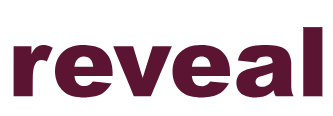 RevealData Logo